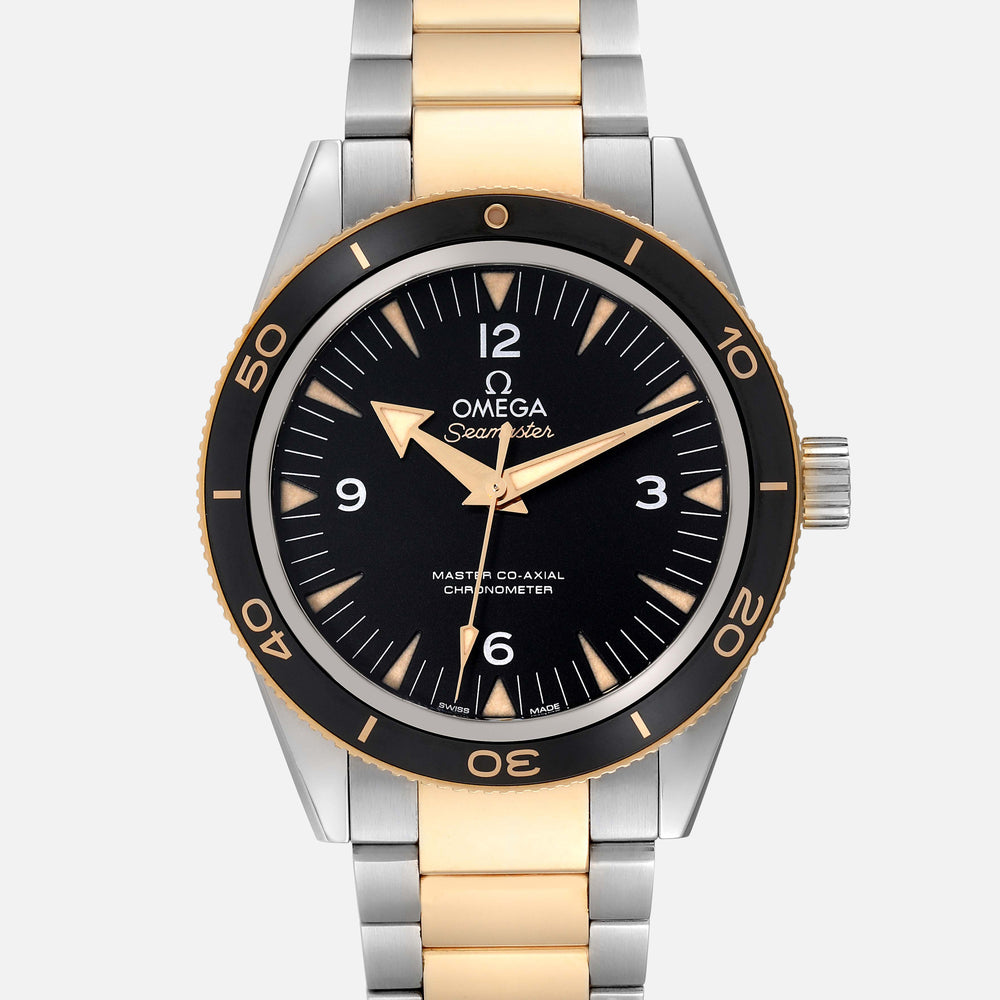 OMEGA Seamaster 233.20.41.21.01.002 1