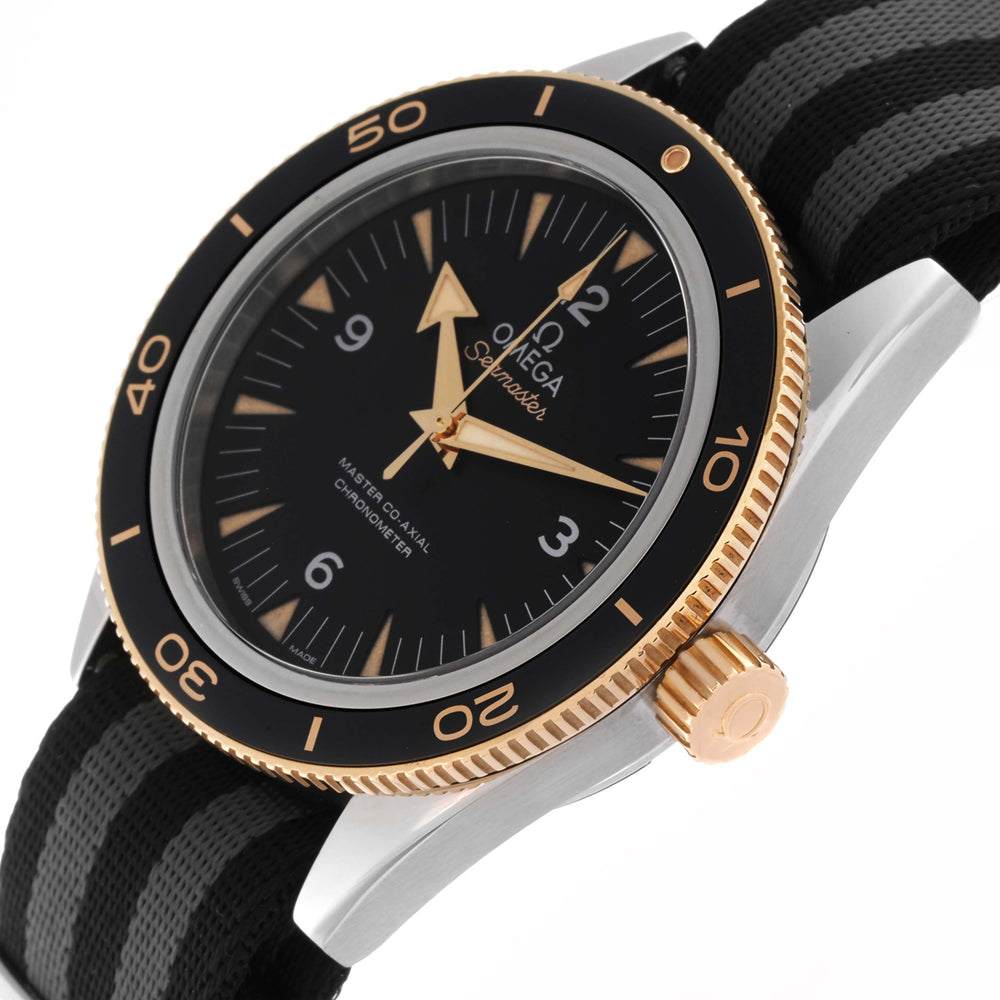 OMEGA Seamaster 233.22.41.21.01.001 2