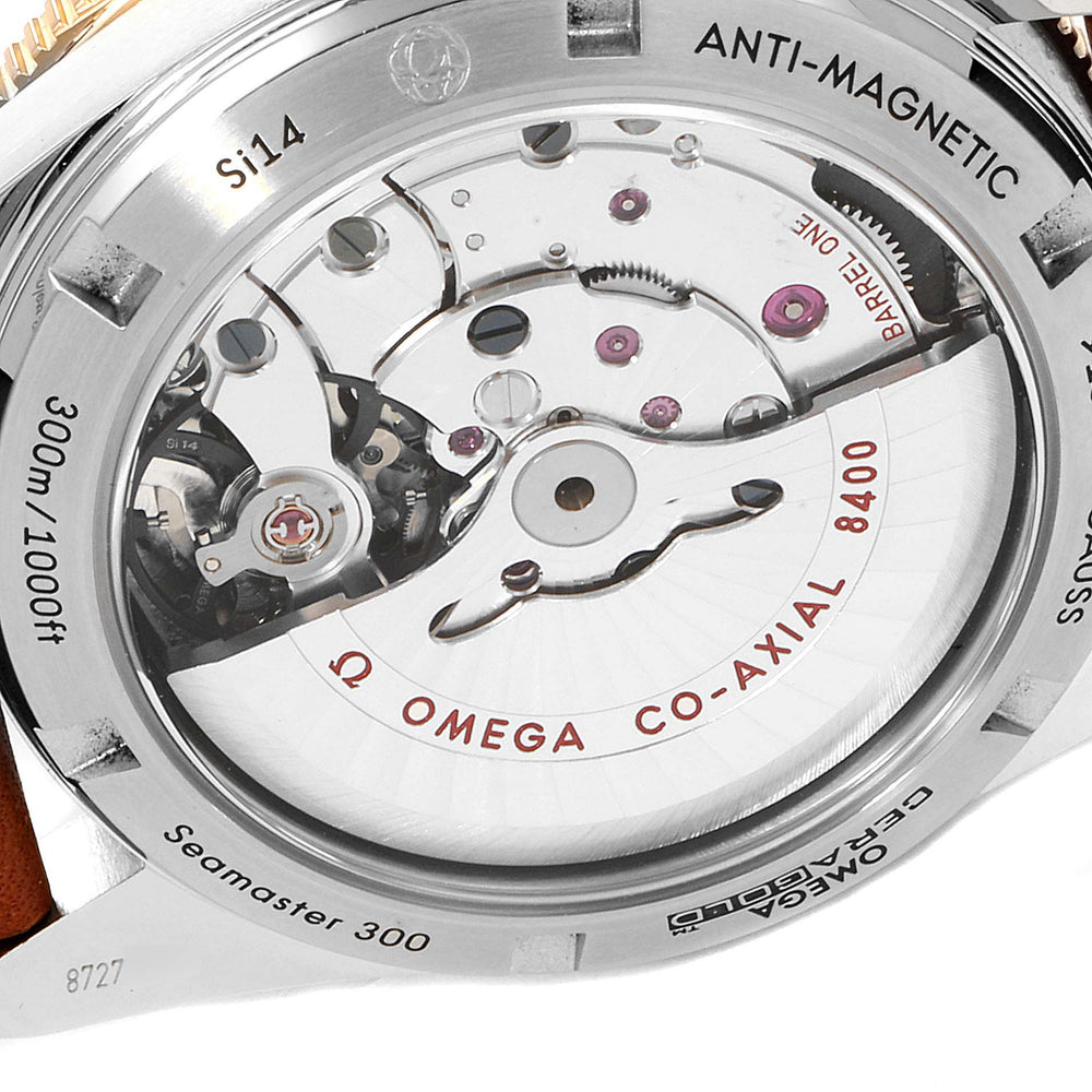 OMEGA Seamaster 233.22.41.21.01.002 4