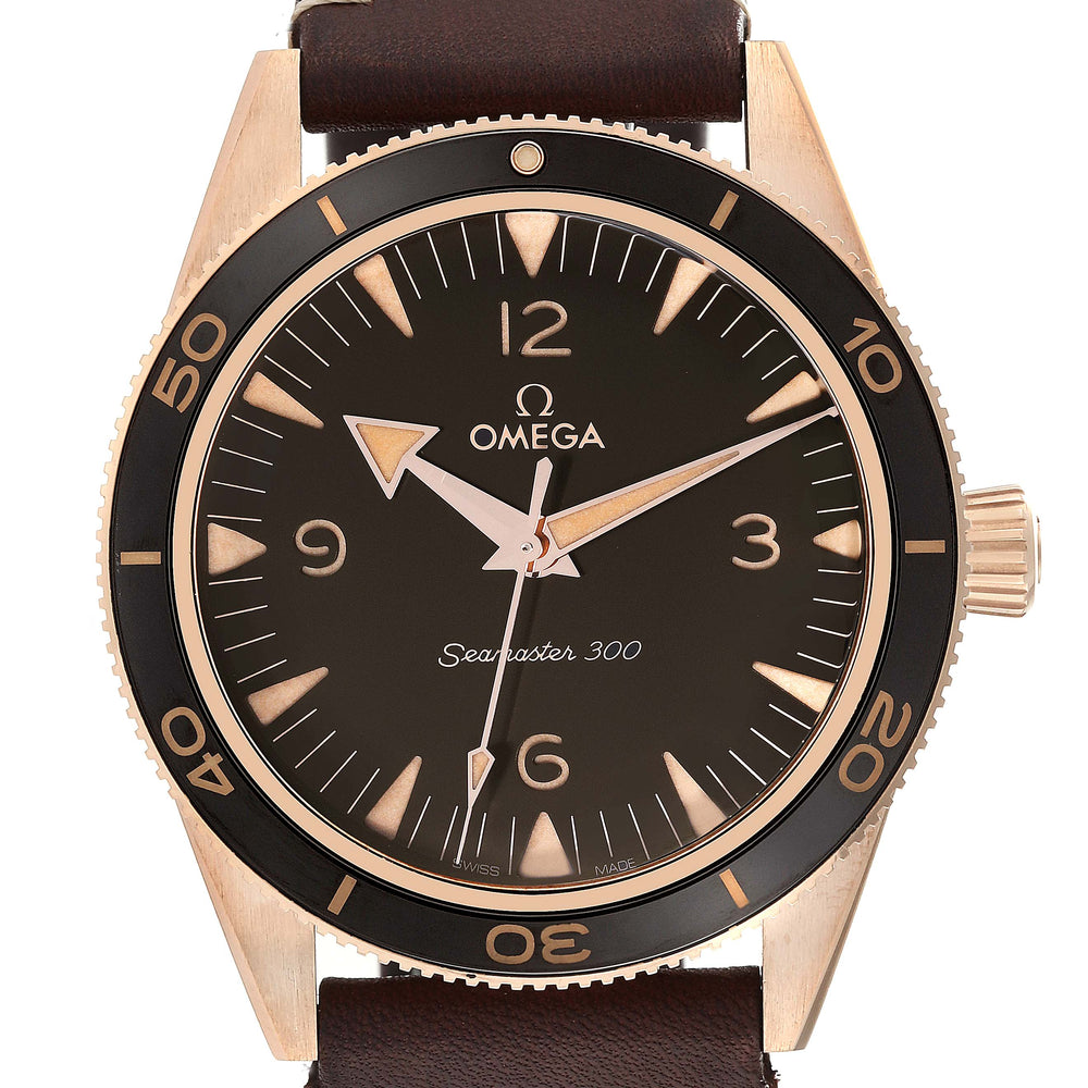 OMEGA Seamaster 234.92.41.21.10.001 3